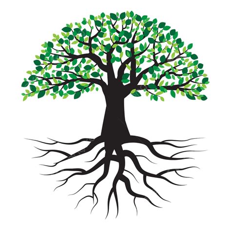 ARBOL .